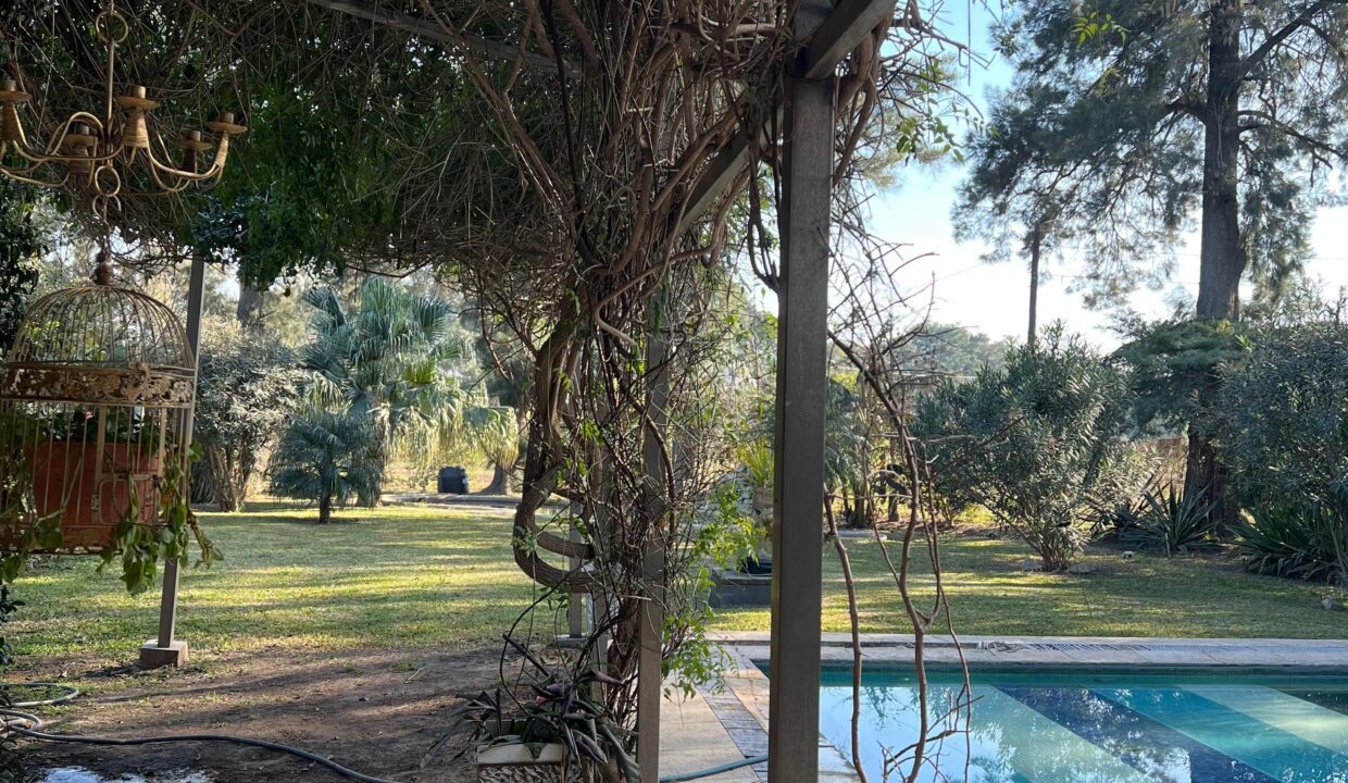 WhatsApp Image 2024-07-18 at 08.21.31