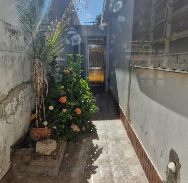 WhatsApp Image 2025-01-23 at 12.57.53