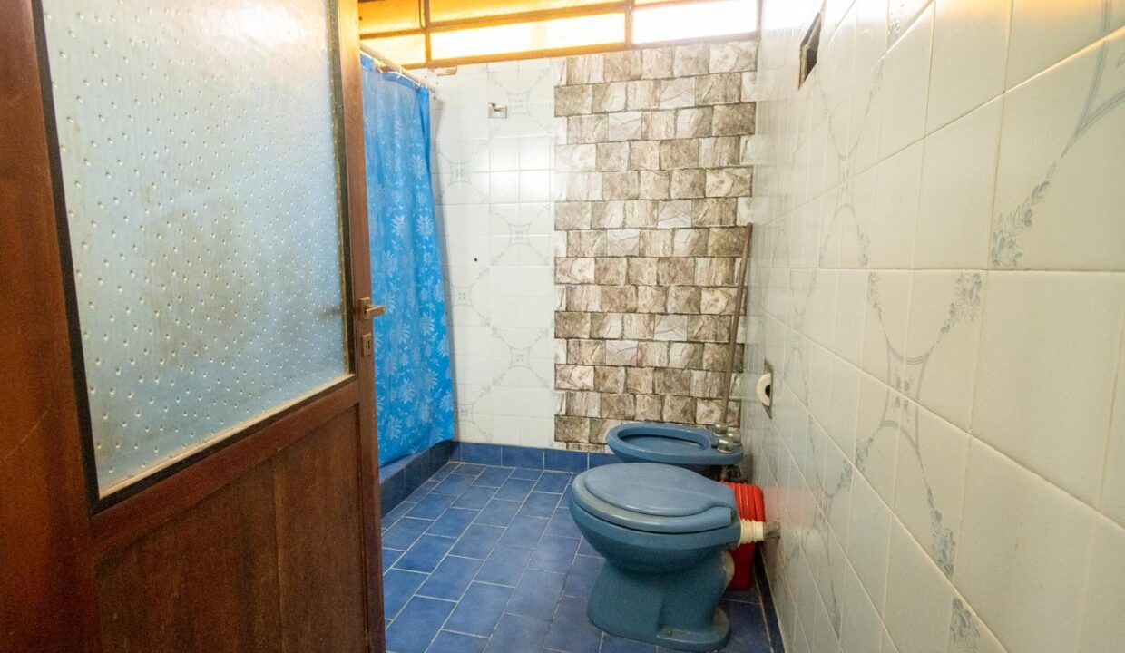 6920157_38209114114552937112736232030613727833665074100923728969842284313565390083706