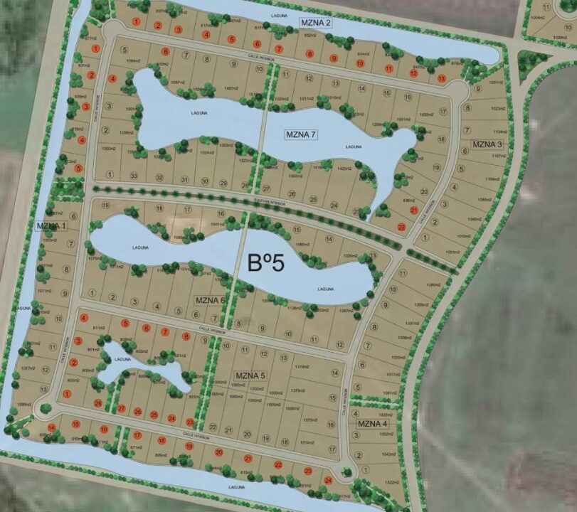 WhatsApp Image 2025-02-17 at 14.52.17