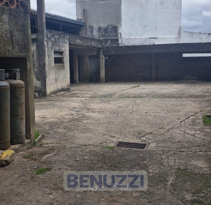 WhatsApp Image 2025-04-30 at 11.34.26 (25)