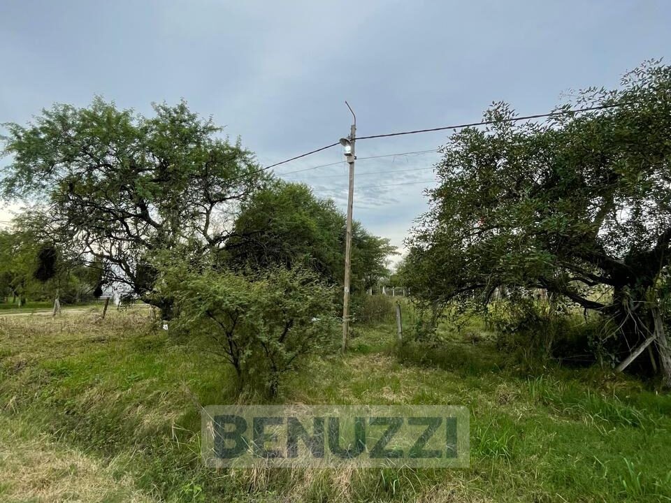 WhatsApp Image 2025-05-16 at 14.27.16 (1)