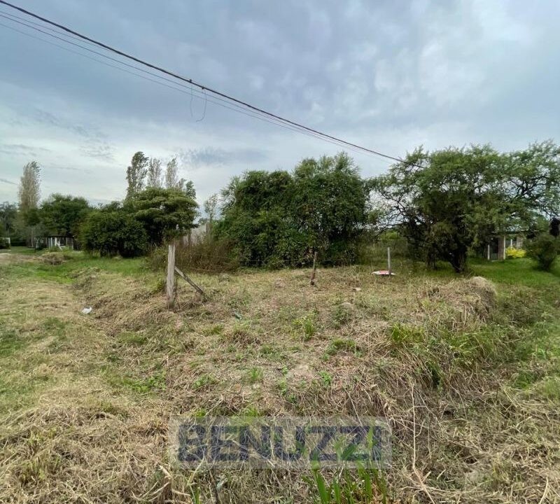 WhatsApp Image 2025-05-16 at 14.27.16 (2)