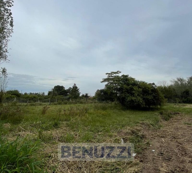 WhatsApp Image 2025-05-16 at 14.27.17 (2)