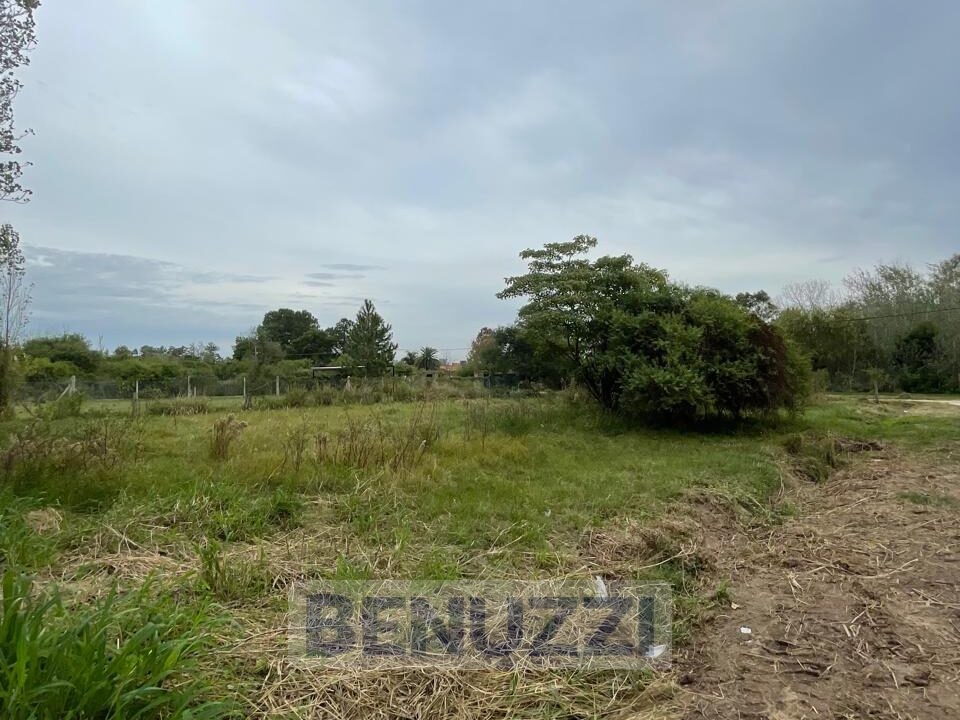 WhatsApp Image 2025-05-16 at 14.27.17 (3)