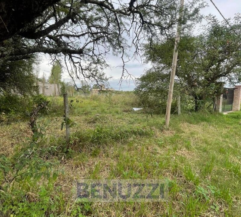 WhatsApp Image 2025-05-16 at 14.27.17 (4)