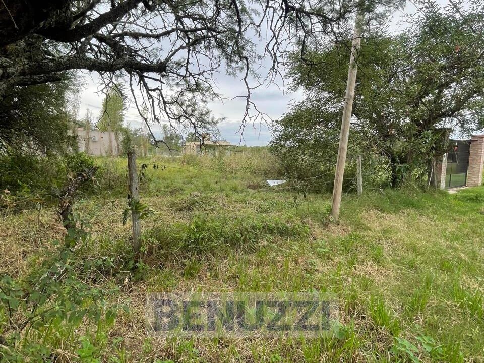 WhatsApp Image 2025-05-16 at 14.27.17 (4)