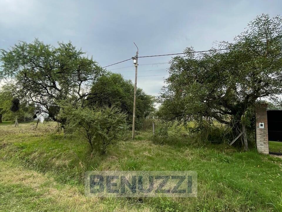 WhatsApp Image 2025-05-16 at 14.27.17 (6)