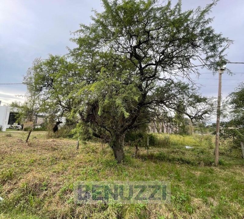 WhatsApp Image 2025-05-16 at 14.27.17 (7)