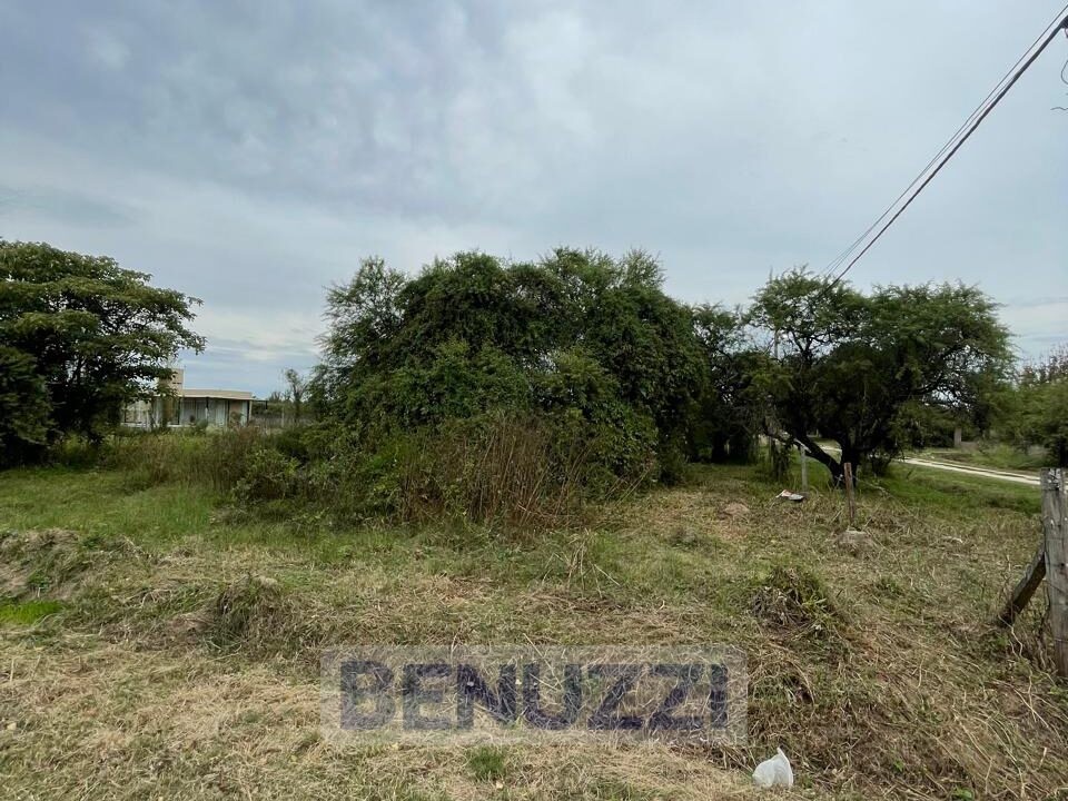 WhatsApp Image 2025-05-16 at 14.27.17