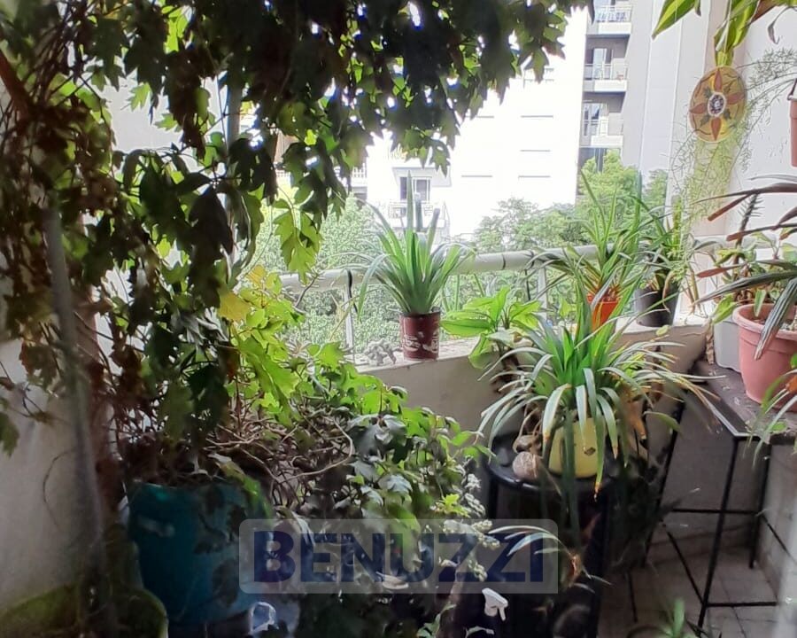 WhatsApp Image 2025-05-21 at 15.11.28 (3)