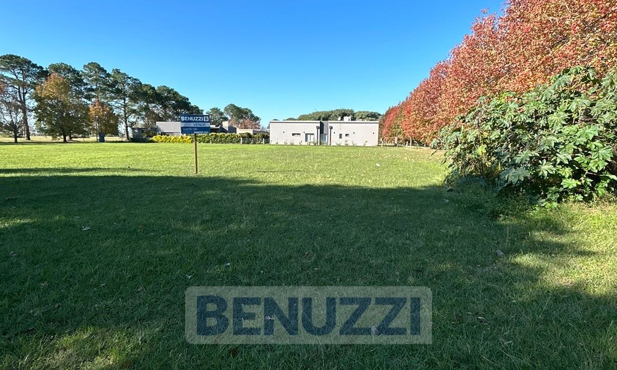 WhatsApp Image 2025-06-03 at 12.39.10 (2)