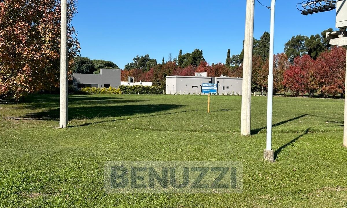 WhatsApp Image 2025-06-03 at 12.39.10 (4)