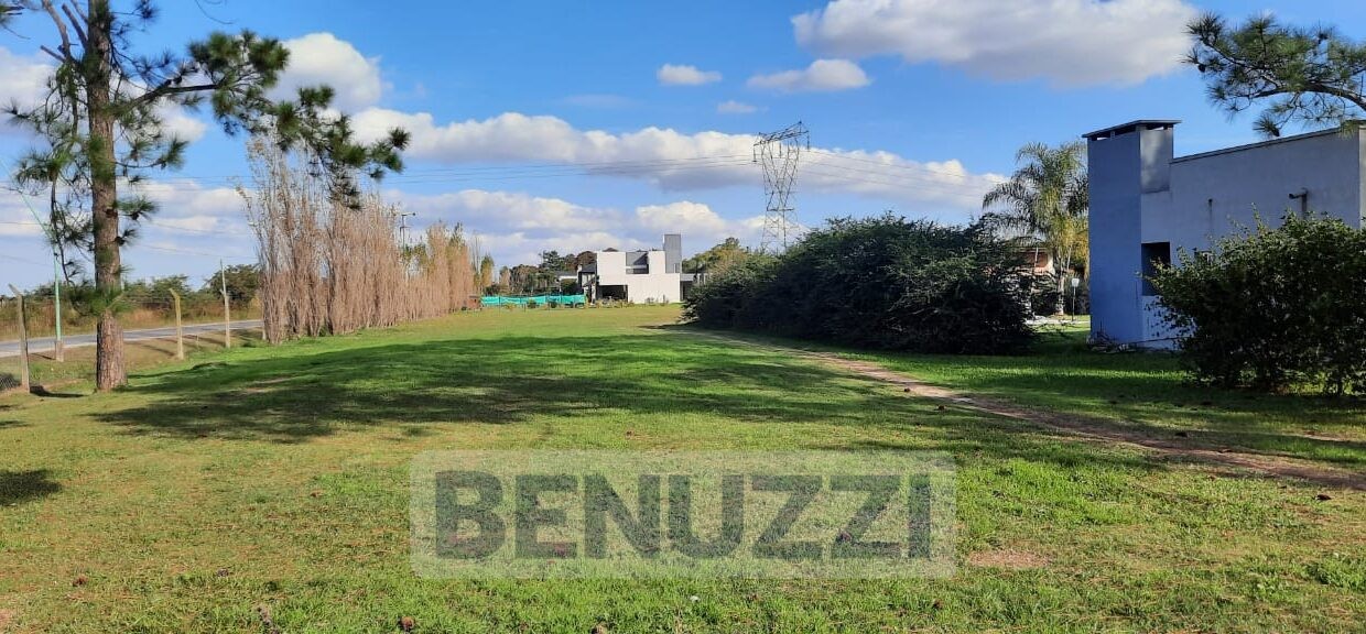 Foto de Guillermo Allevi