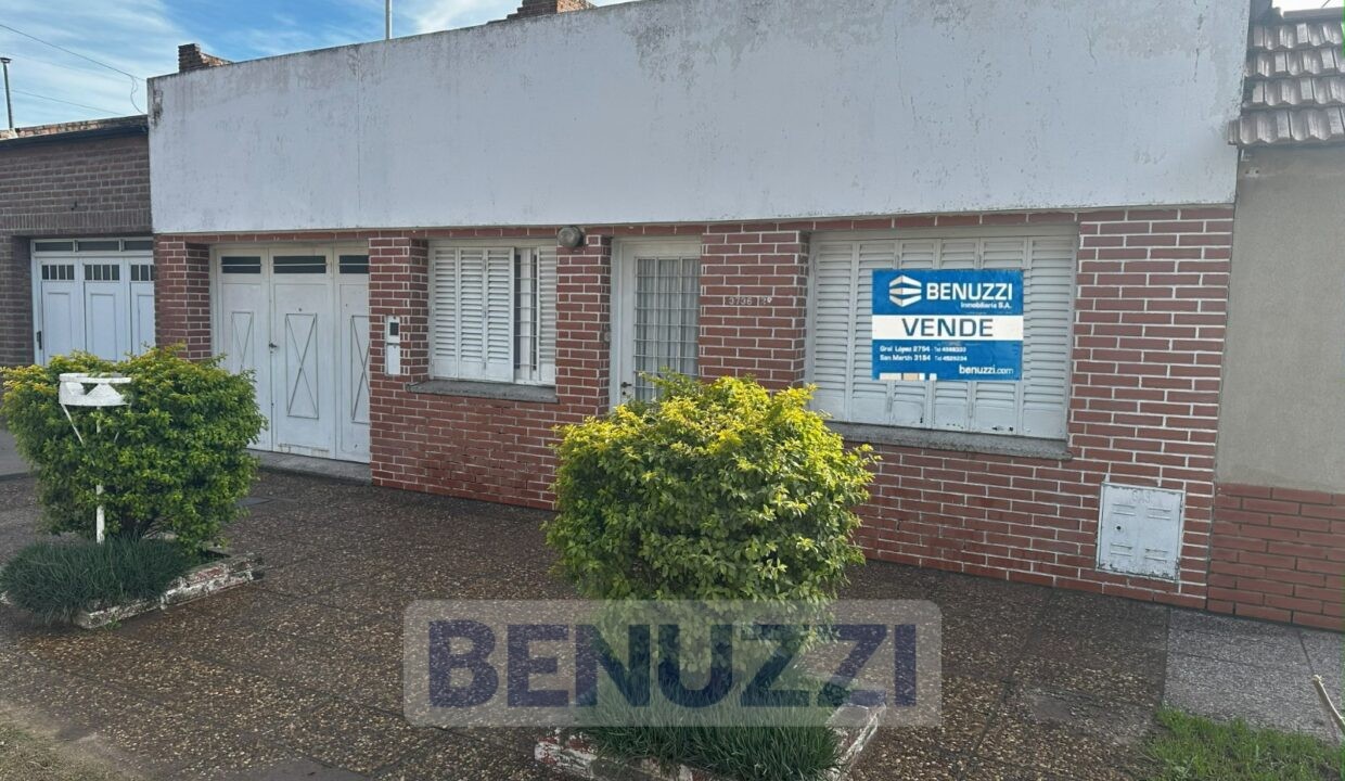 WhatsApp Image 2025-08-12 at 13.34.56