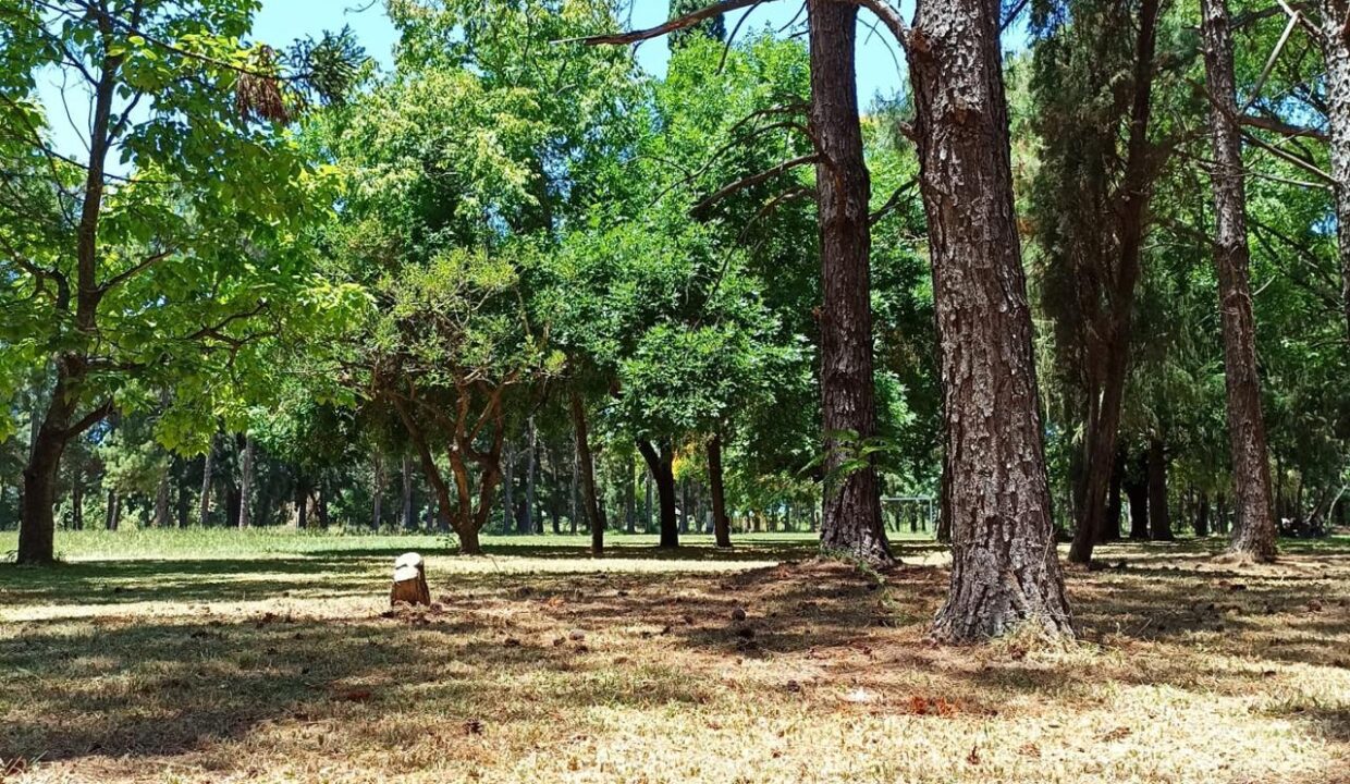 WhatsApp Image 2025-10-23 at 11.18.14 (1)