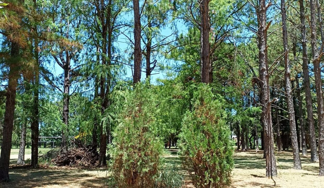 WhatsApp Image 2025-10-23 at 11.18.14 (2)