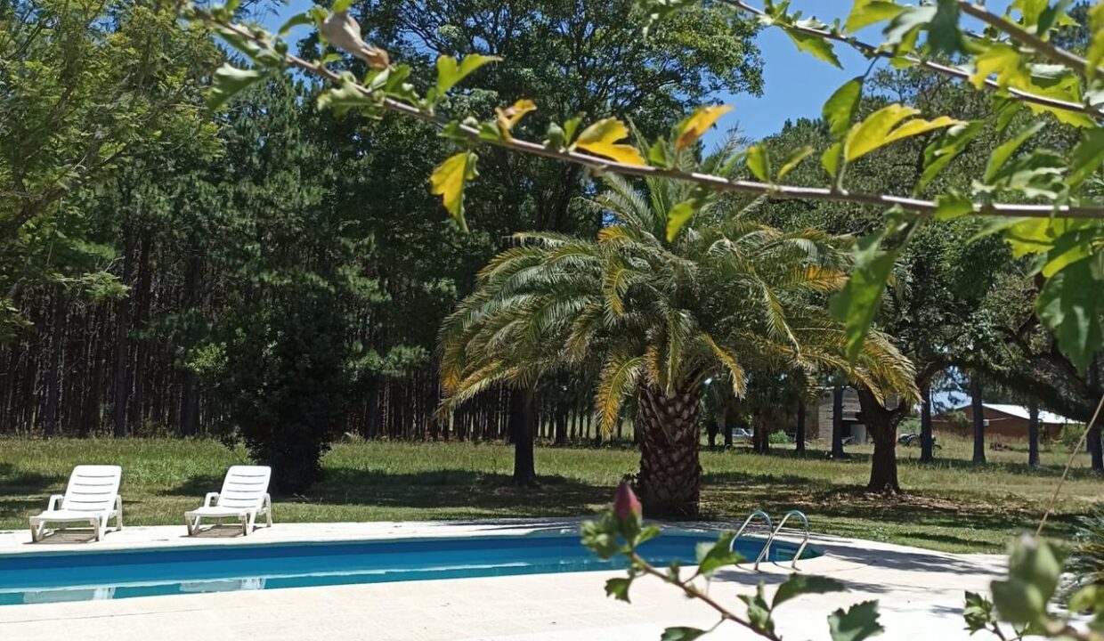 WhatsApp Image 2025-10-23 at 11.18.15