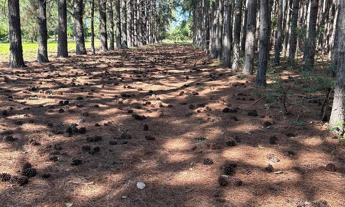 WhatsApp Image 2025-10-23 at 11.19.20 (2)