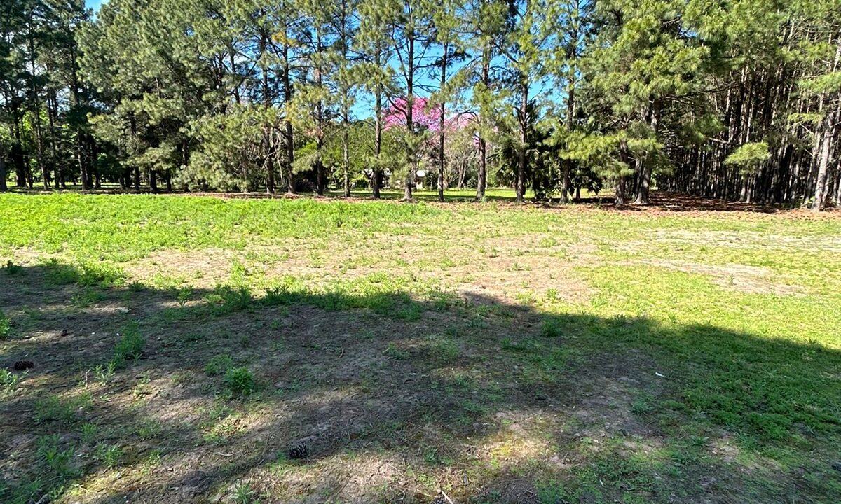 WhatsApp Image 2025-10-23 at 11.19.20 (3)