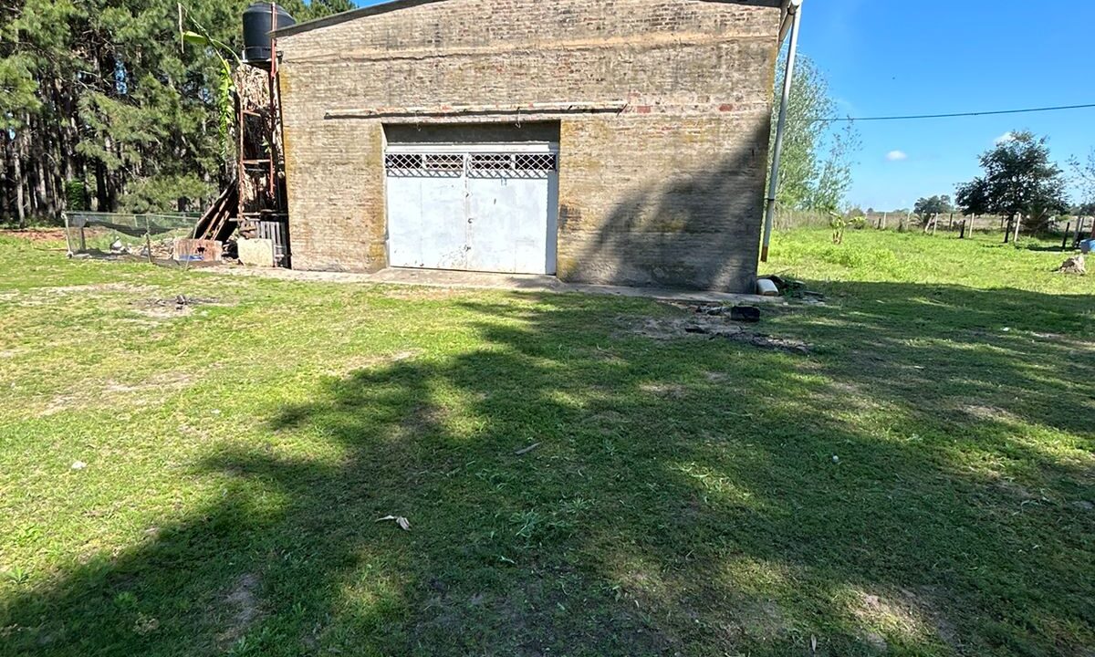 WhatsApp Image 2025-10-23 at 11.19.21 (1)