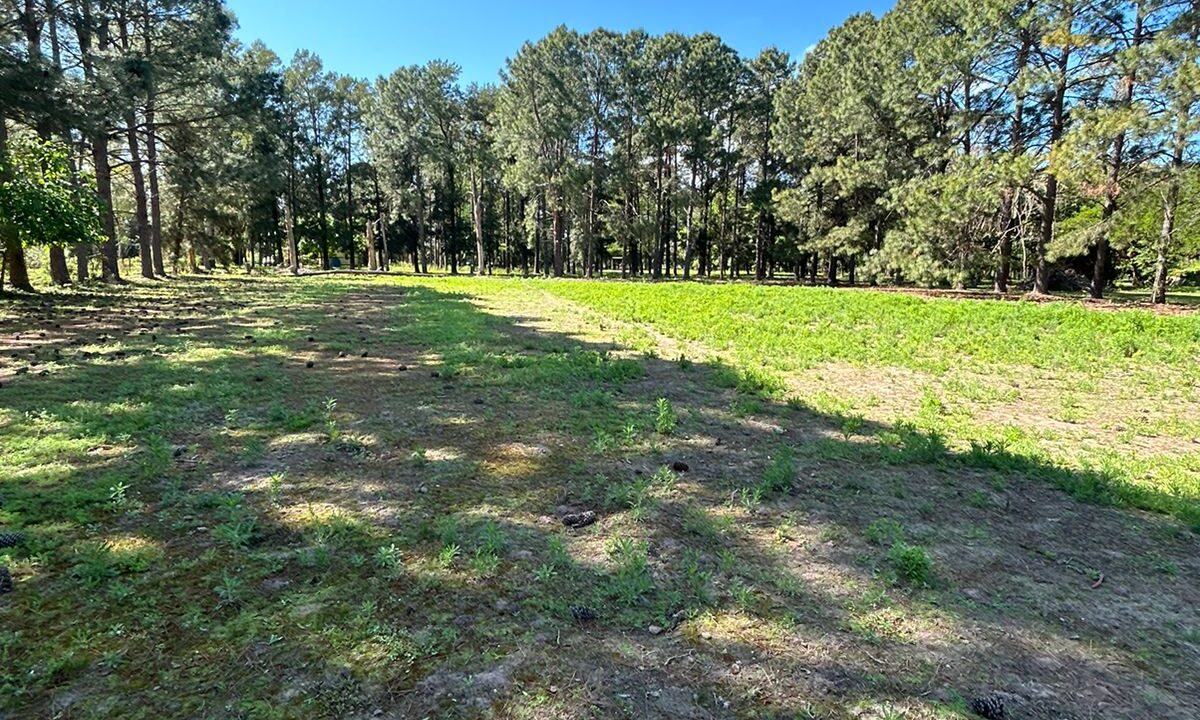 WhatsApp Image 2025-10-23 at 11.19.21