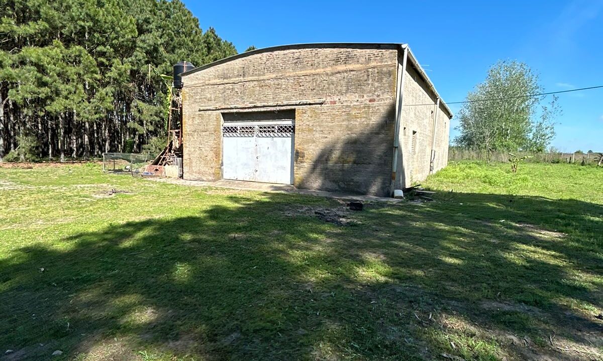 WhatsApp Image 2025-10-23 at 11.19.21 (2)