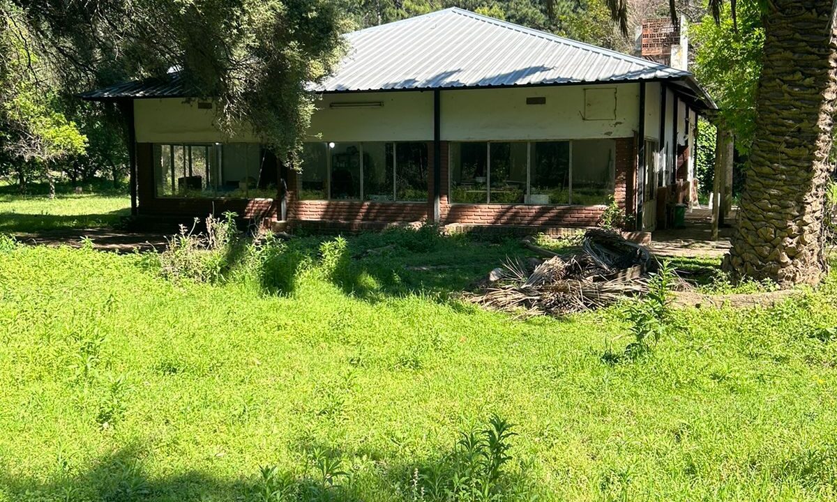 WhatsApp Image 2025-10-23 at 11.19.22 (1)