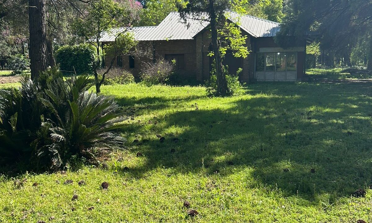 WhatsApp Image 2025-10-23 at 11.19.23 (1)