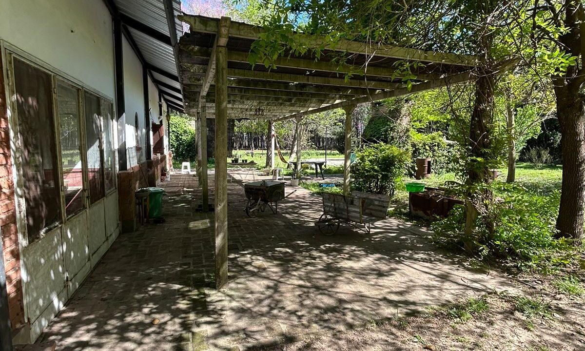 WhatsApp Image 2025-10-23 at 11.19.23