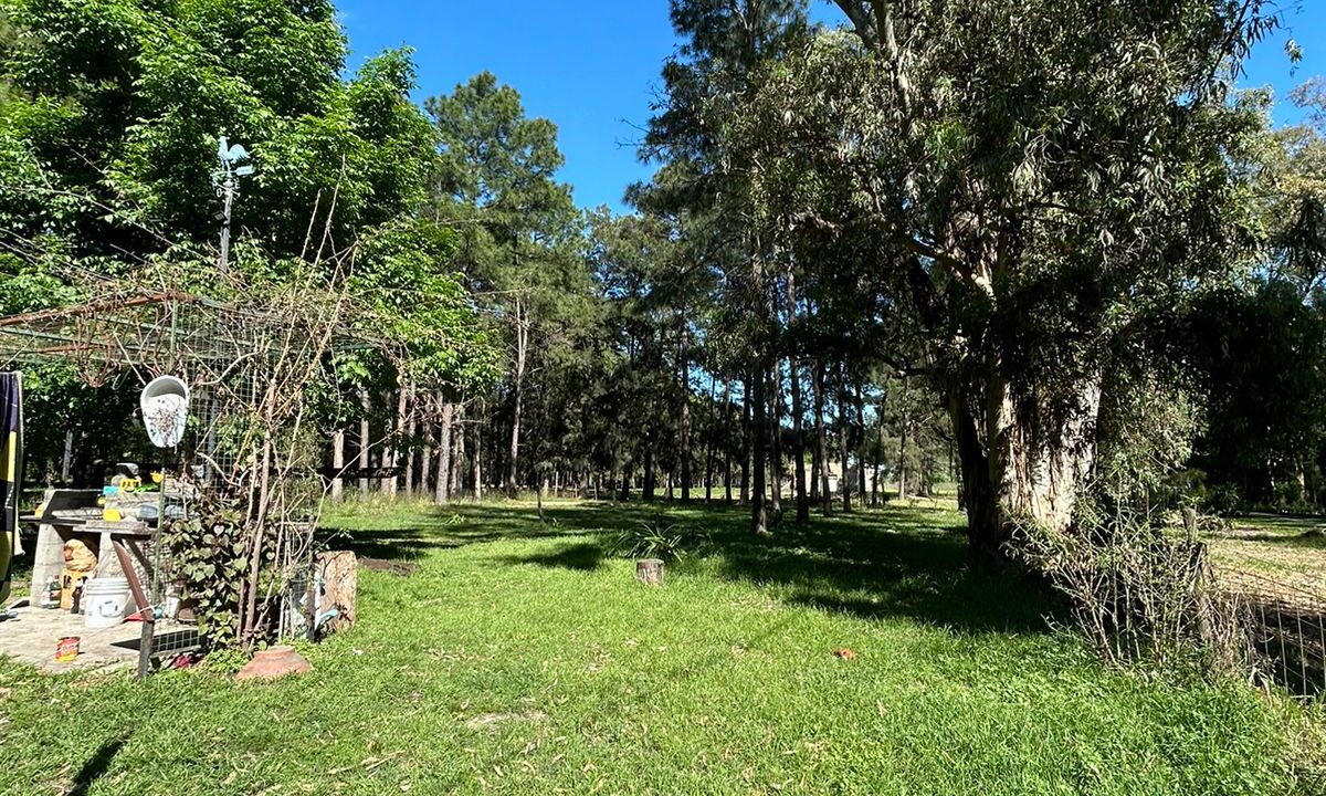 WhatsApp Image 2025-10-23 at 11.19.23 (3)