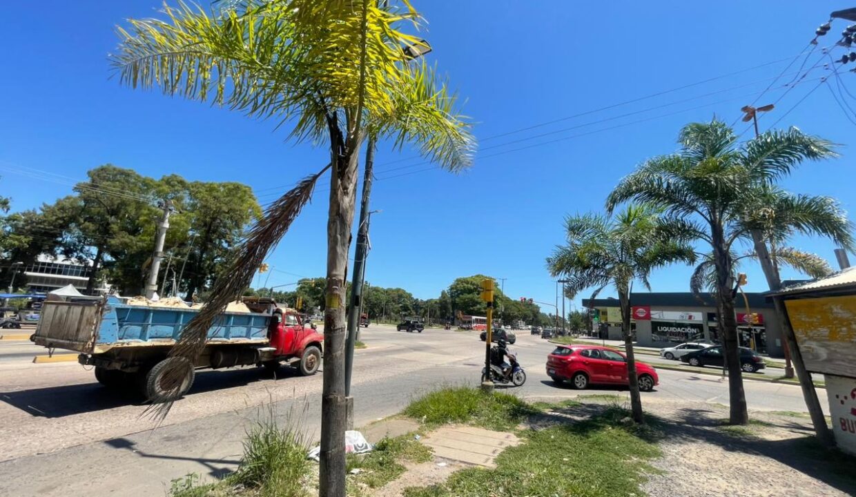 WhatsApp Image 2026-01-21 at 12.21.45 (3)