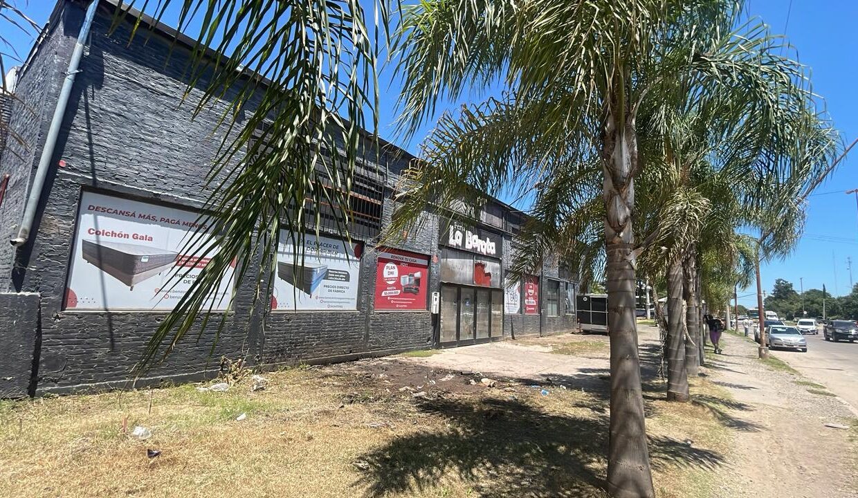 WhatsApp Image 2026-01-21 at 12.21.46 (1)