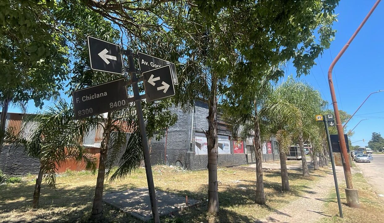 WhatsApp Image 2026-01-21 at 12.21.46 (2)