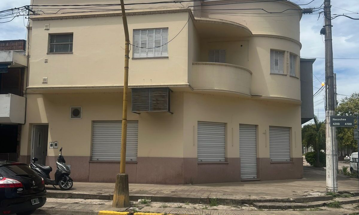 WhatsApp Image 2026-02-13 at 14.29.46 (2)