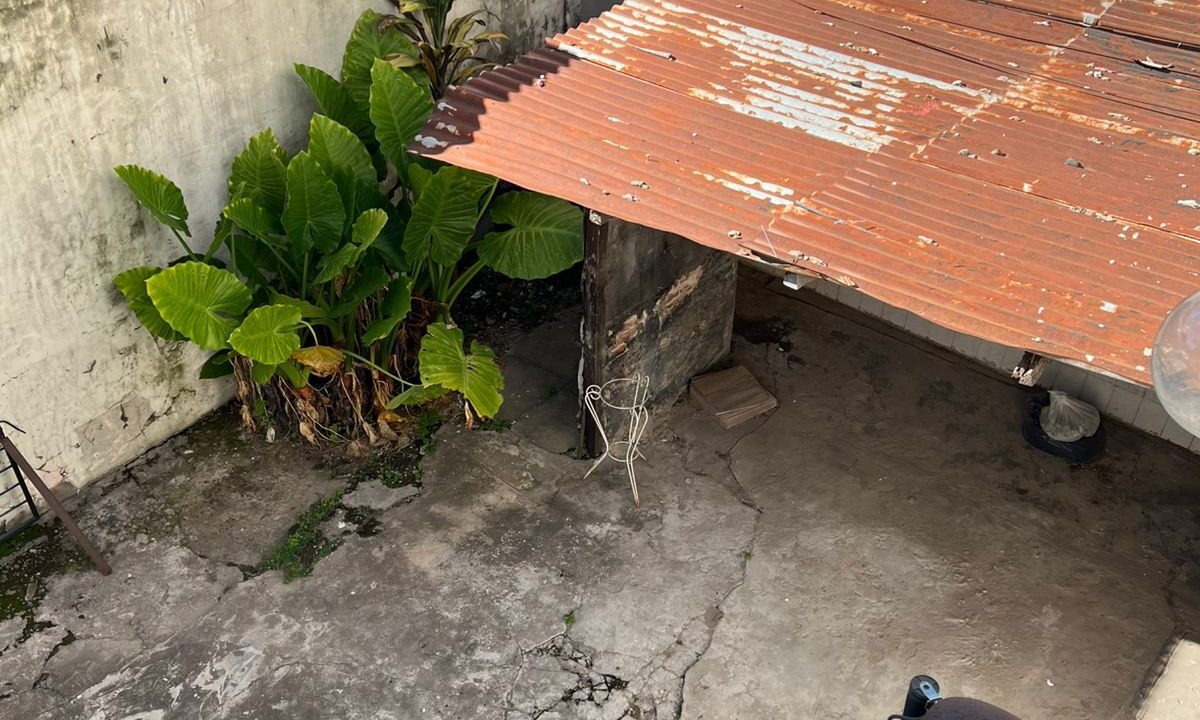 WhatsApp Image 2026-03-12 at 11.37.01