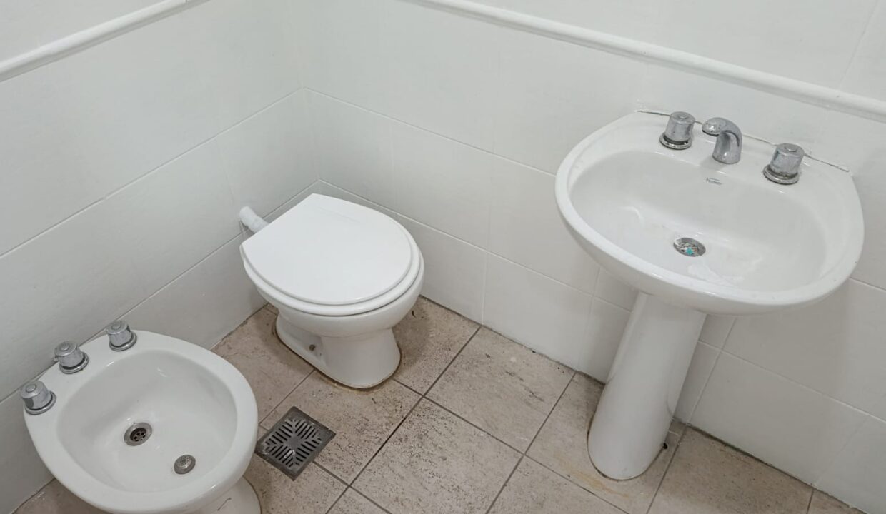 52619