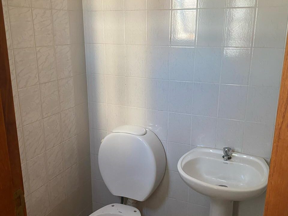 49163